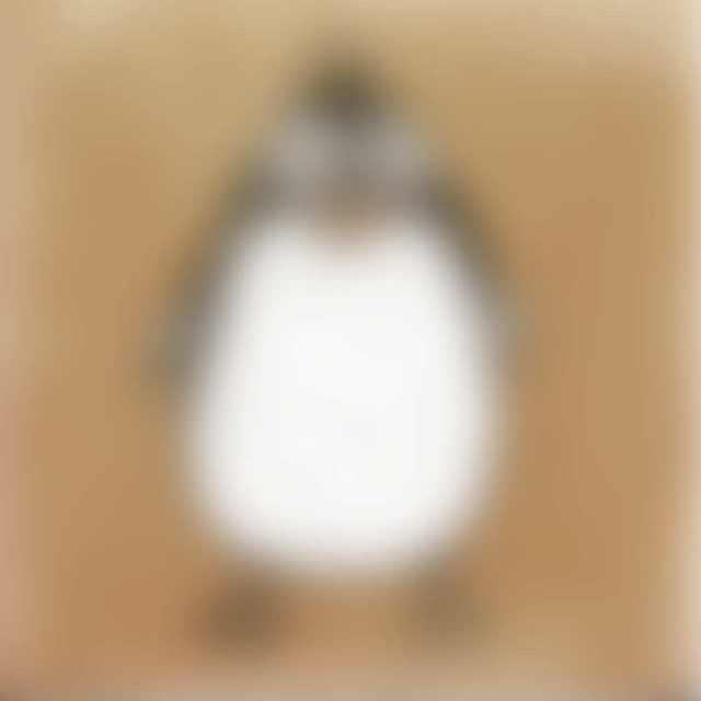Pingu Penguin